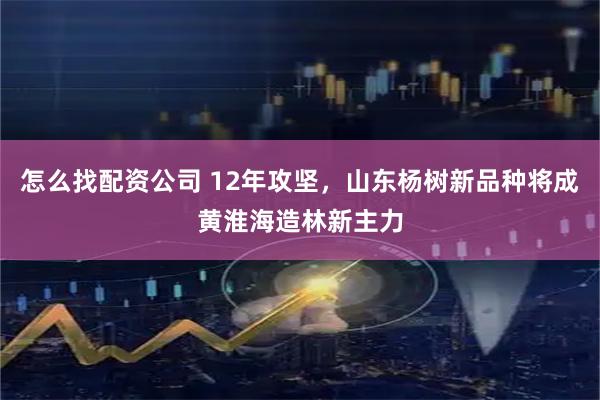 怎么找配资公司 12年攻坚，山东杨树新品种将成黄淮海造林新主力